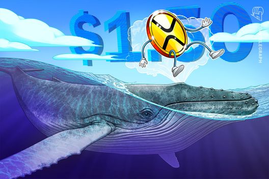 528_aHR0cHM6Ly9zMy1pbWFnZXMuY3RtZWRpYS5pby9tZWRpYS9hcnRpY2xlLWNvdmVycy93aGFsZS1yaXBwbGUuanBn