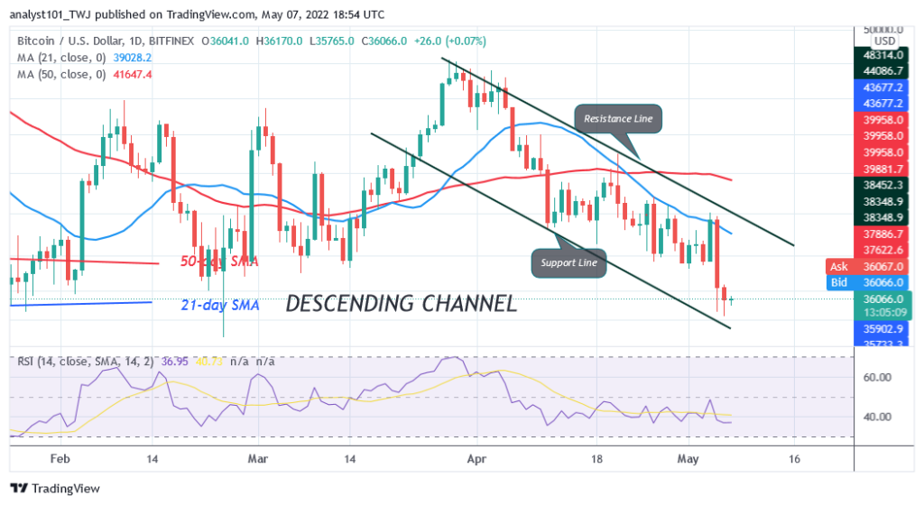 BTCUSDDaily-Chart-1