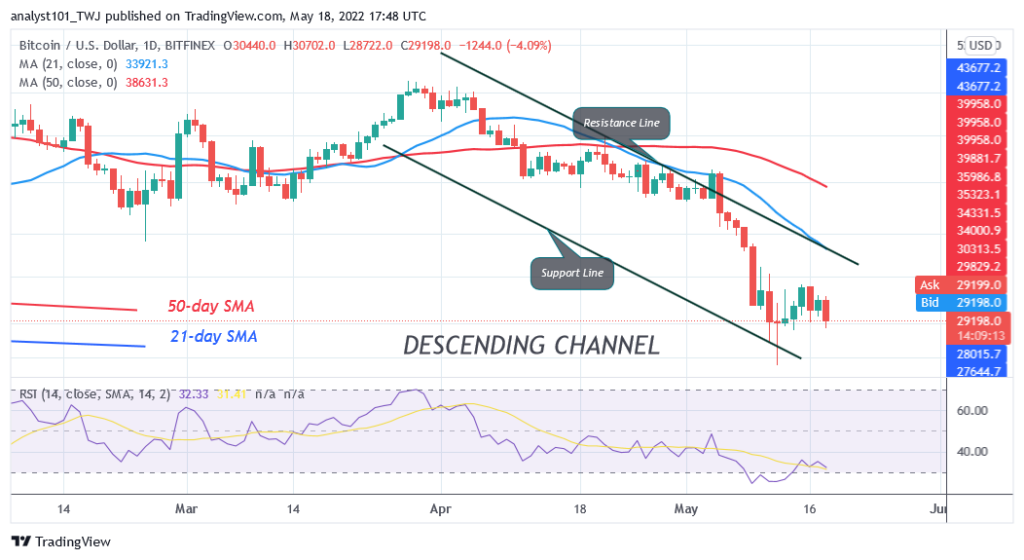 BTCUSDDaily-Chart-4