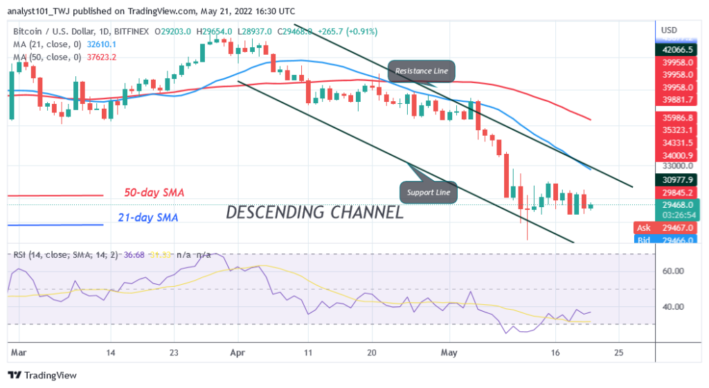BTCUSDDaily-Chart-5