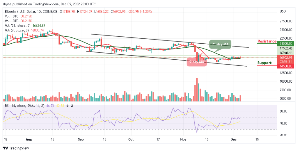 BTCUSD_1D_03122022-1024x526-1