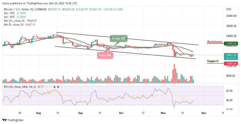 BTCUSD_1D_18112022-1024x526-2