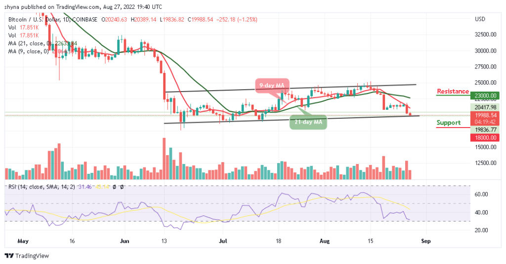 BTCUSD_1D_22082022-1