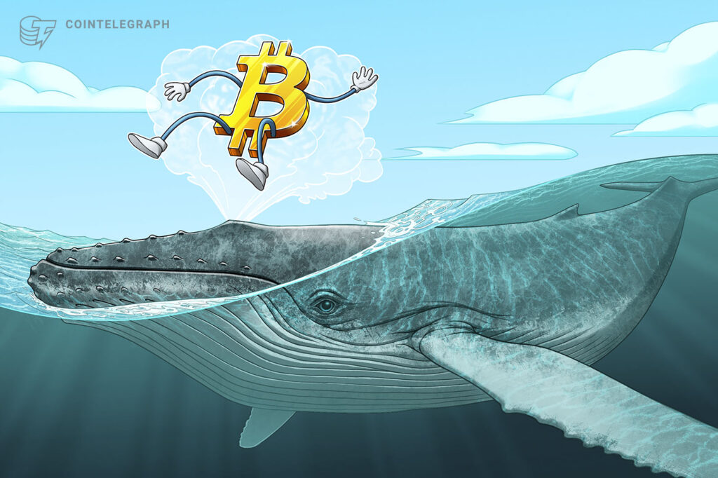 article-covers-34555-analysts-laugh-off-recent-one-whale-theory-of-btcs-2017-bull-run
