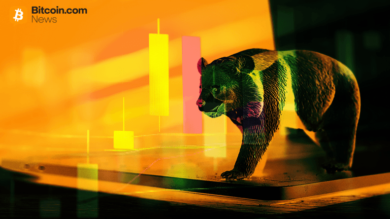 bearrrs-768x432-1