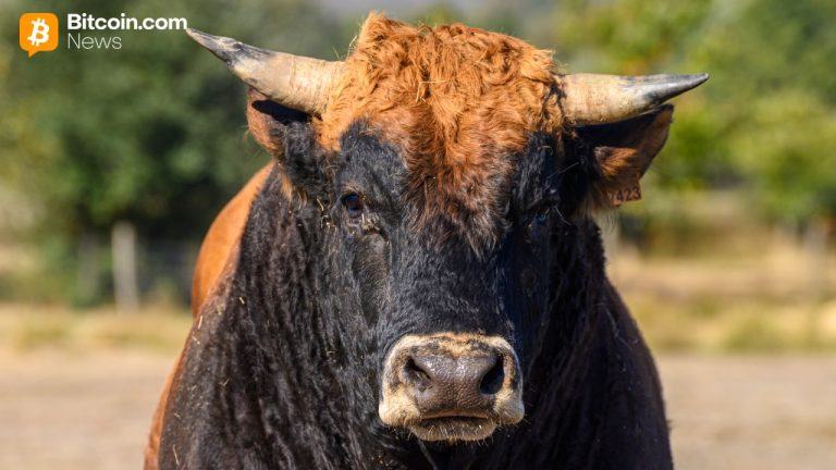 bitcoin-bull-market-bear-market-768x432-1
