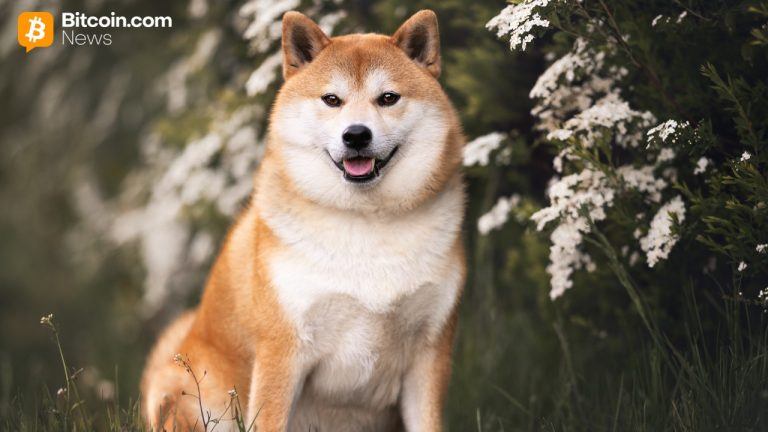 bitwise-dogecoin-etf-768x432-1