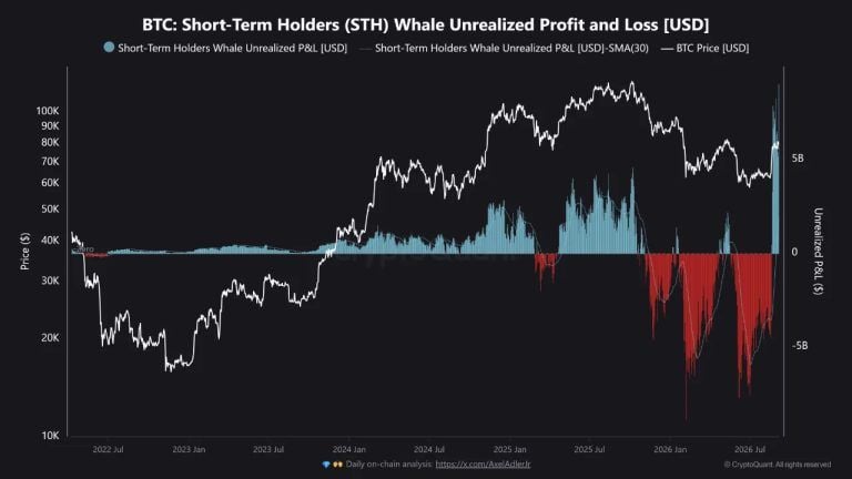 btc-short-term-holders-whale-realized-profit-and-loss-768x432-1