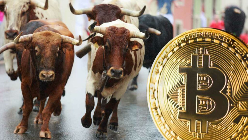 bull-run