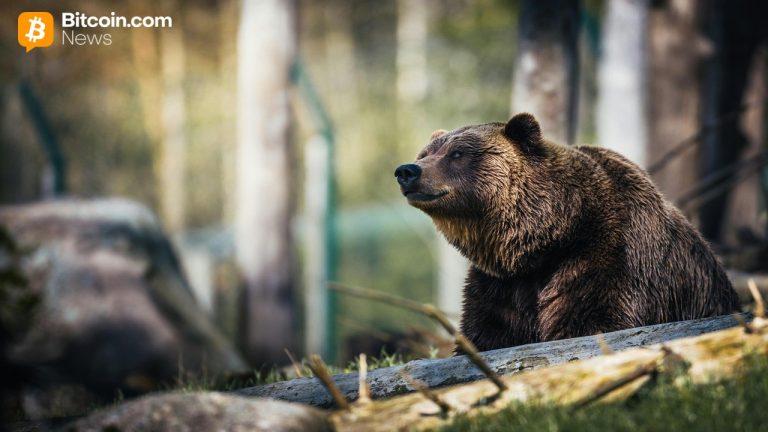cryptoquants-ki-young-ju-warns-bitcoins-bear-market-could-run-into-early-2027-768x432-1