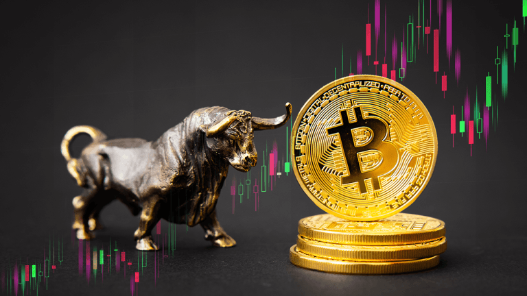 dbull-768x432-1