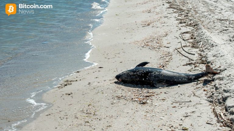 dead-dolphin-768x432-1