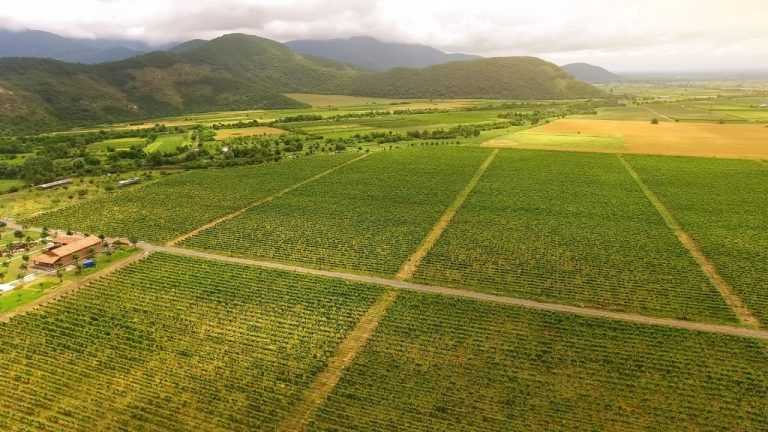 georgia-agriculture-768x432-1
