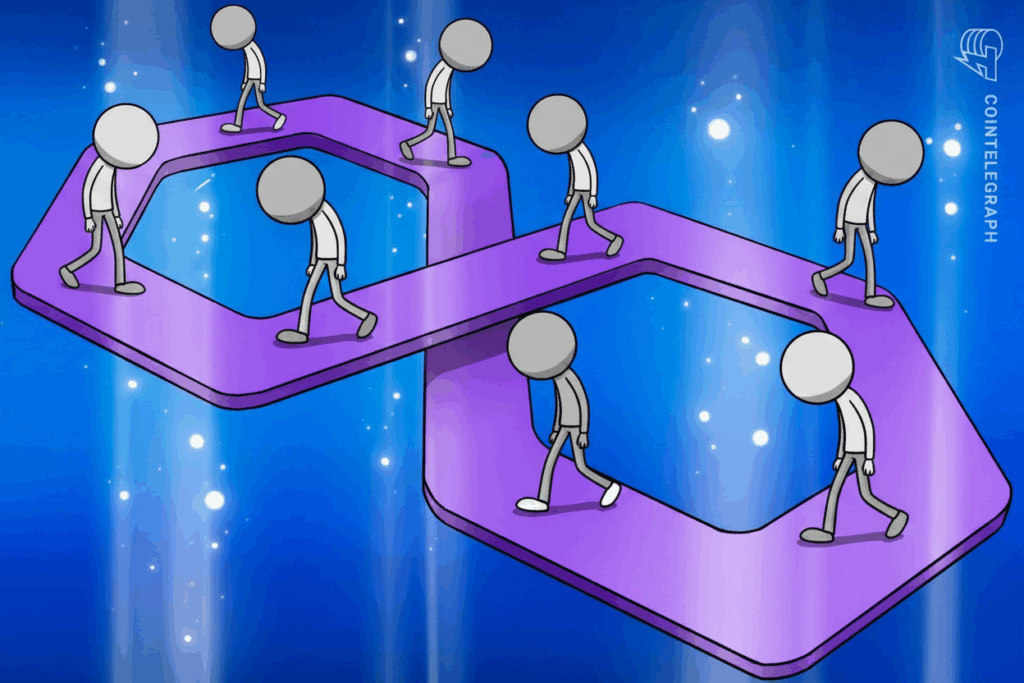 hi-defi-project-polygon-explained