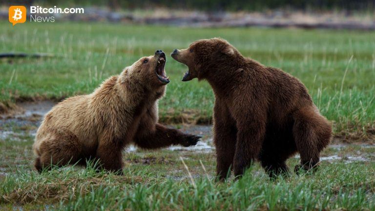 shutterstock_2524258069-768x432-1