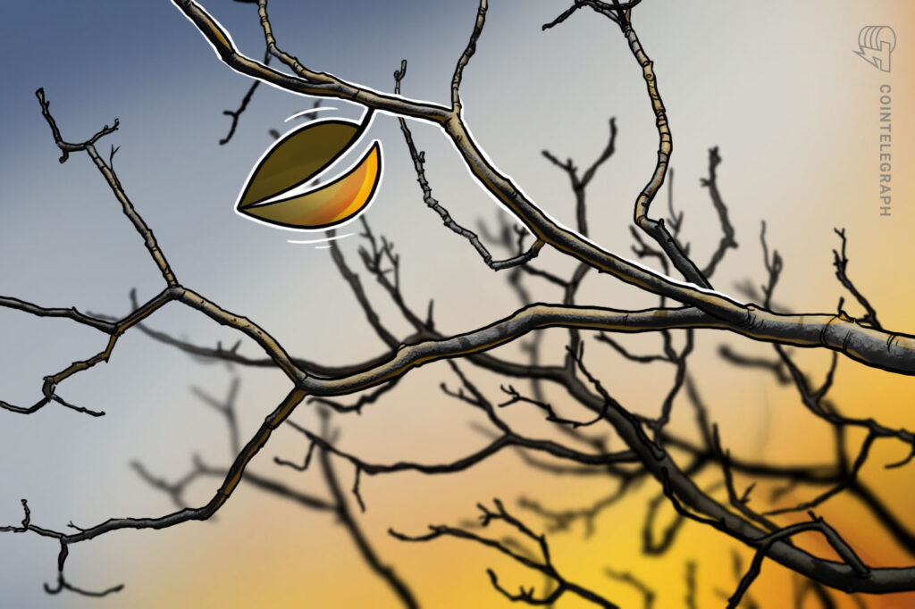 single-leaf-on-tree-balancer