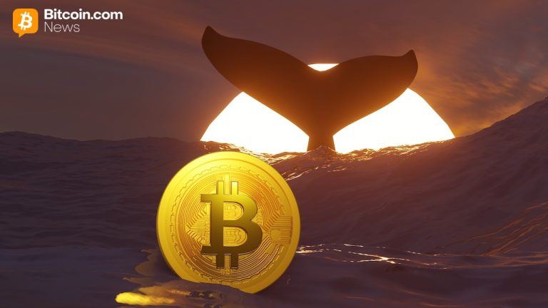 tim-drapers-250000-btc-call-new-whale-data-and-more-week-in-review-768x432-1