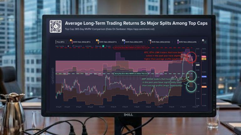 xrp-and-doge-average-long-term-trading-returns-768x432-1